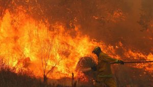 Incendio La Cumbre Setiembre 2019